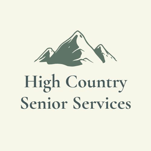 HCSS Logo
